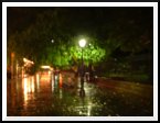 A Jackson Square lamppost during an evening rainshower.