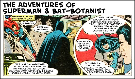 superbat4.jpg